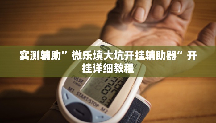 实测辅助”微乐填大坑开挂辅助器”开挂详细教程