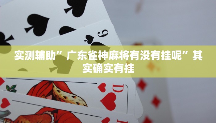 实测辅助”广东雀神麻将有没有挂呢”其实确实有挂