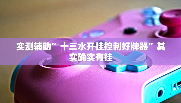 实测辅助”十三水开挂控制好牌器”其实确实有挂