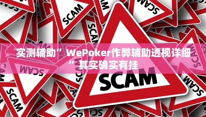 实测辅助”WePoker作弊辅助透视详细”其实确实有挂