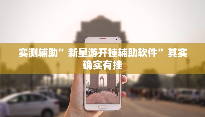 实测辅助”新星游开挂辅助软件”其实确实有挂