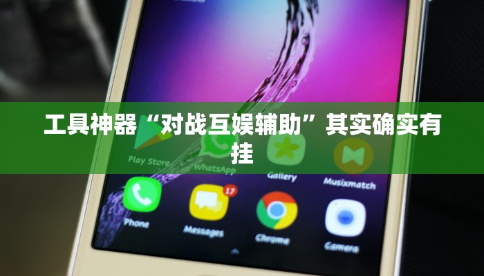 工具神器“对战互娱辅助”其实确实有挂