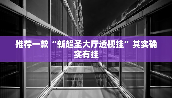 推荐一款“新超圣大厅透视挂”其实确实有挂
