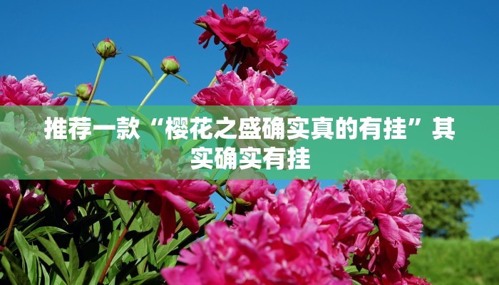 推荐一款“樱花之盛确实真的有挂”其实确实有挂