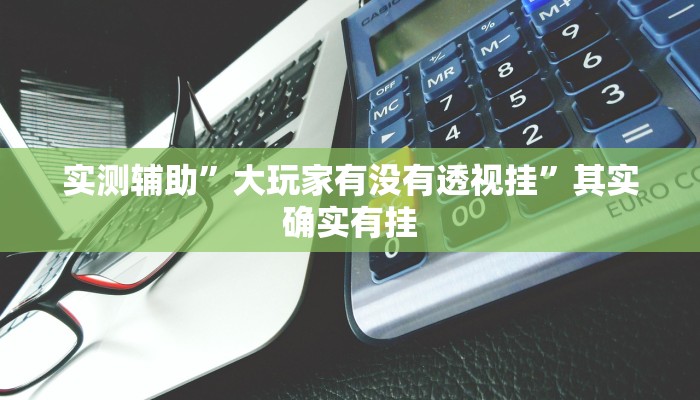 实测辅助”大玩家有没有透视挂”其实确实有挂