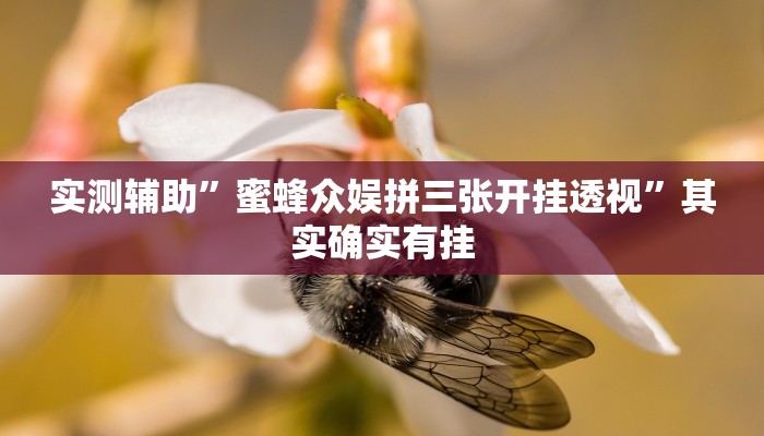 教程辅助!“HHPoKer透视开挂作弊教程辅助!“