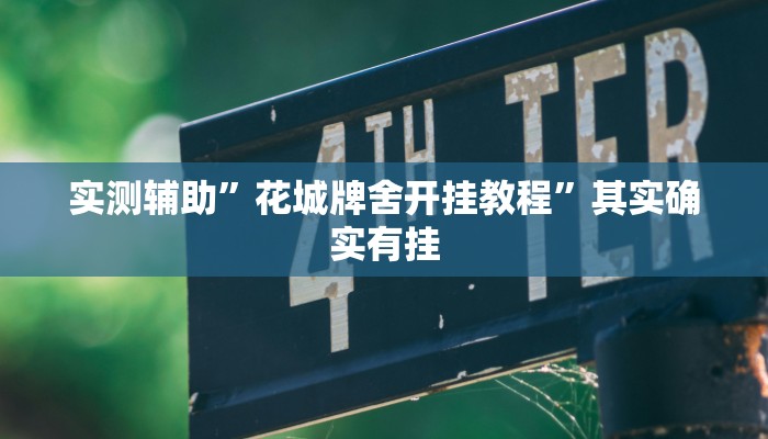 实测辅助”花城牌舍开挂教程”其实确实有挂