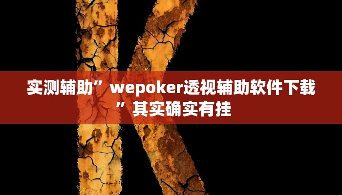 实测辅助”wepoker透视辅助软件下载 ”其实确实有挂