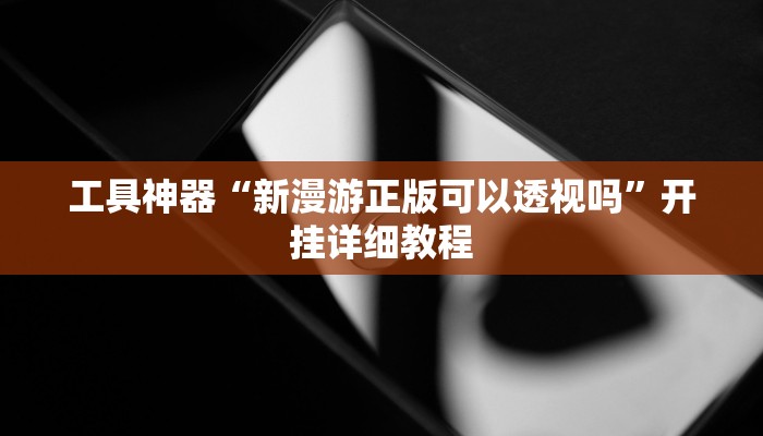工具神器“新漫游正版可以透视吗”开挂详细教程