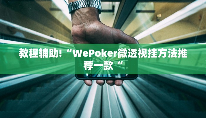 教程辅助!“WePoker微透视挂方法推荐一款“