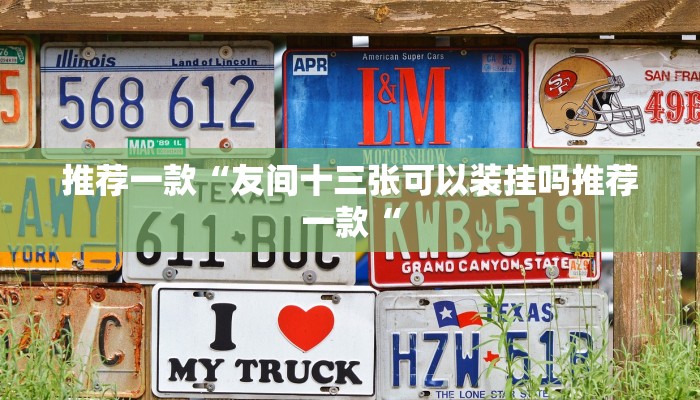 推荐一款“友间十三张可以装挂吗推荐一款“