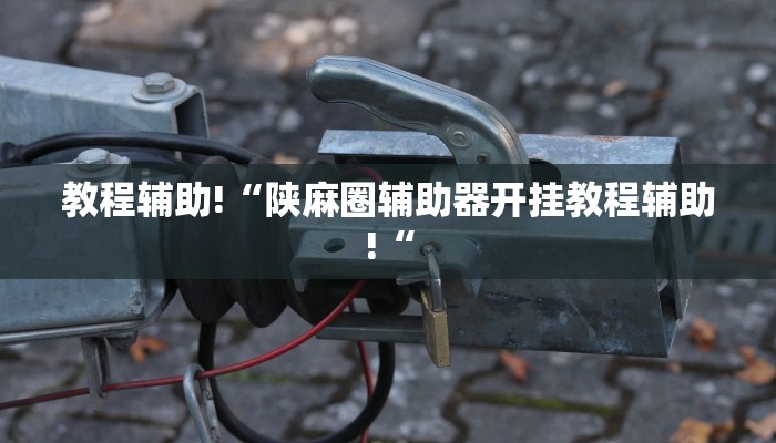 教程辅助!“陕麻圈辅助器开挂教程辅助!“