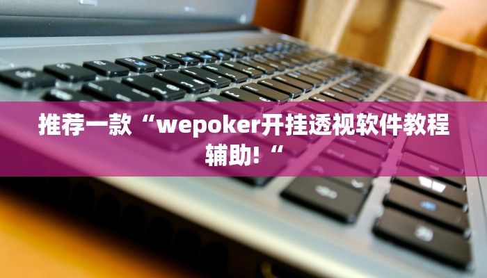 推荐一款“wepoker开挂透视软件教程辅助!“