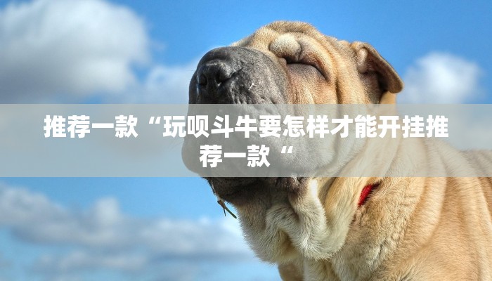 推荐一款“玩呗斗牛要怎样才能开挂推荐一款“