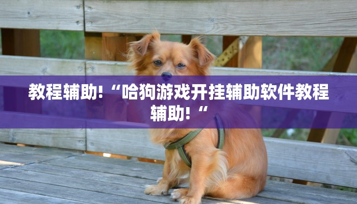 教程辅助!“哈狗游戏开挂辅助软件教程辅助!“