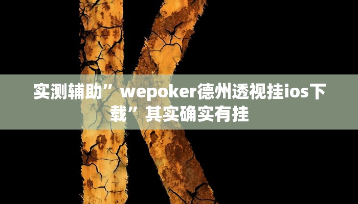 实测辅助”wepoker德州透视挂ios下载”其实确实有挂