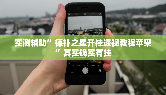 实测辅助”德扑之星开挂透视教程苹果”其实确实有挂