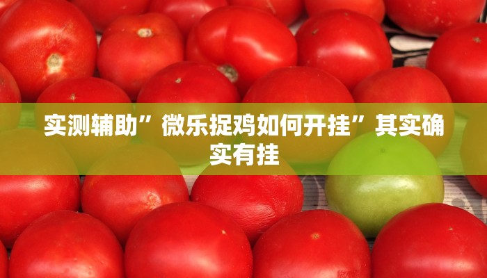 实测辅助”微乐捉鸡如何开挂”其实确实有挂