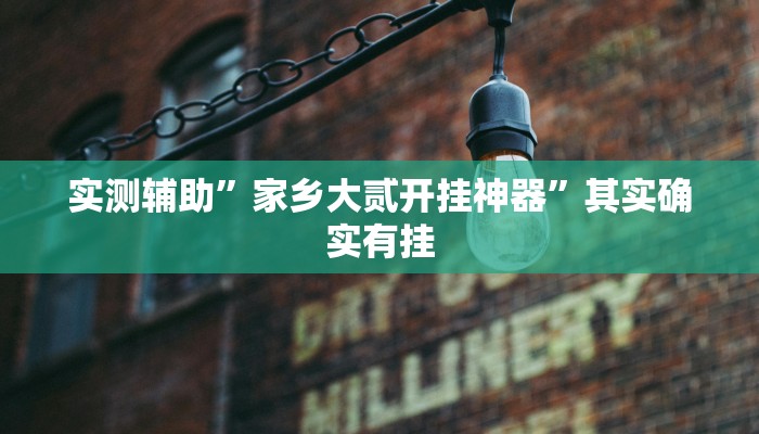 实测辅助”家乡大贰开挂神器”其实确实有挂