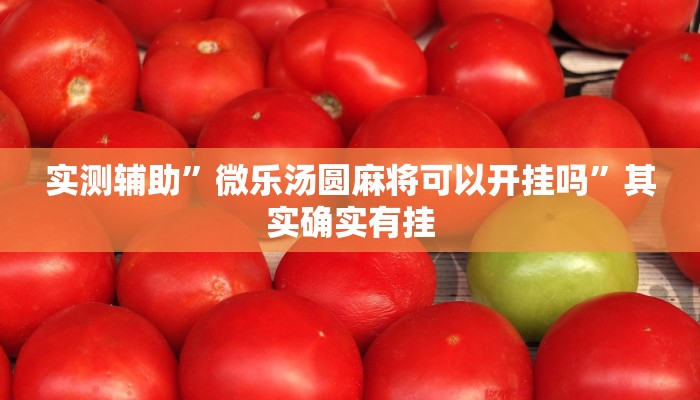 实测辅助”微乐汤圆麻将可以开挂吗”其实确实有挂