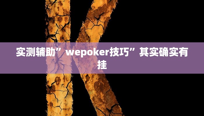 实测辅助”wepoker技巧”其实确实有挂