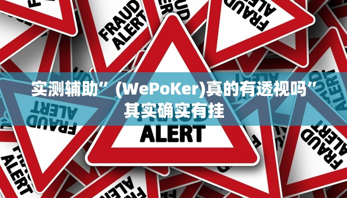 实测辅助”(WePoKer)真的有透视吗”其实确实有挂