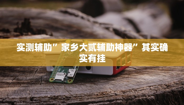 实测辅助”家乡大贰辅助神器”其实确实有挂