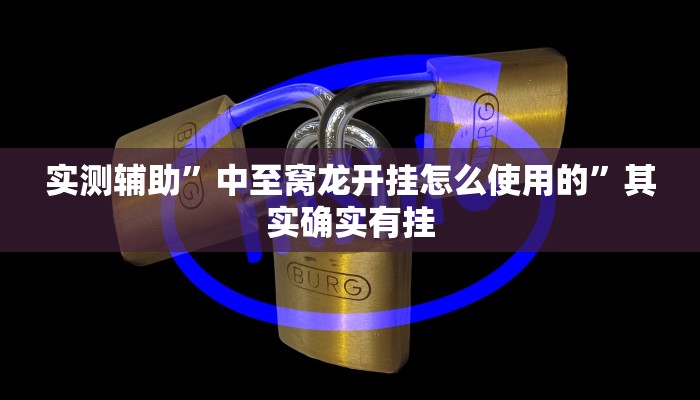 实测辅助”中至窝龙开挂怎么使用的”其实确实有挂