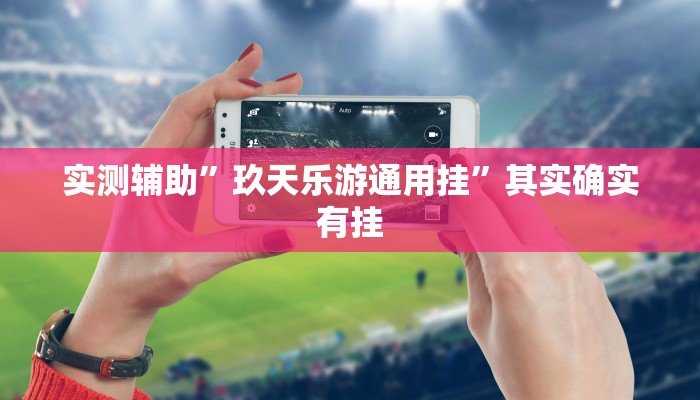 实测辅助”玖天乐游通用挂”其实确实有挂
