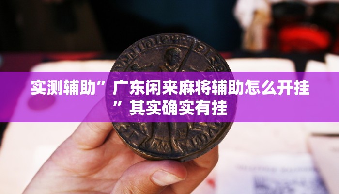 实测辅助”广东闲来麻将辅助怎么开挂”其实确实有挂
