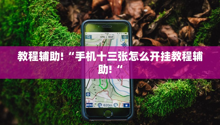 教程辅助!“手机十三张怎么开挂教程辅助!“