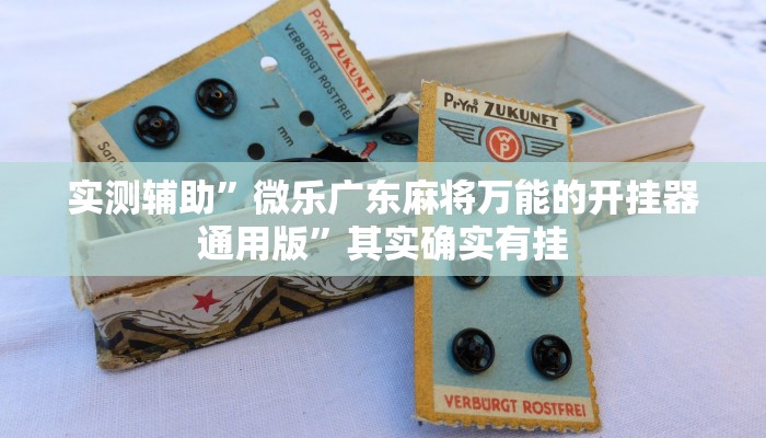 实测辅助”微乐广东麻将万能的开挂器通用版”其实确实有挂