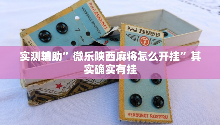 实测辅助”微乐陕西麻将怎么开挂”其实确实有挂
