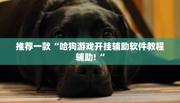 推荐一款“哈狗游戏开挂辅助软件教程辅助!“