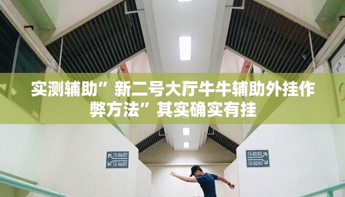 实测辅助”百利科技怎么开挂”(原来确实是有挂)