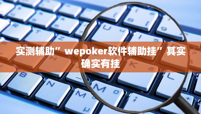 实测辅助”wepoker软件辅助挂”其实确实有挂