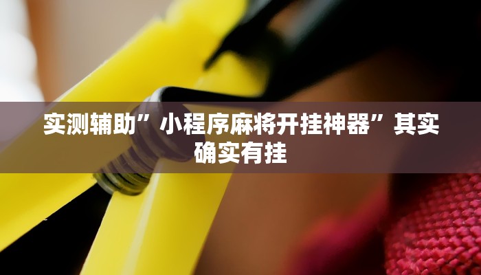 实测辅助”小程序麻将开挂神器”其实确实有挂