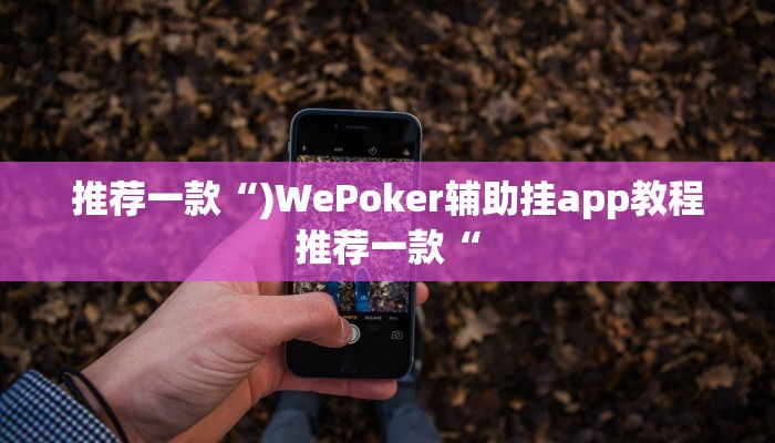 推荐一款“)WePoker辅助挂app教程推荐一款“