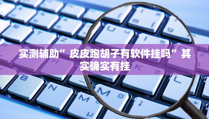 实测辅助”皮皮跑胡子有软件挂吗”其实确实有挂