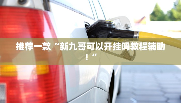 推荐一款“新九哥可以开挂吗教程辅助!“