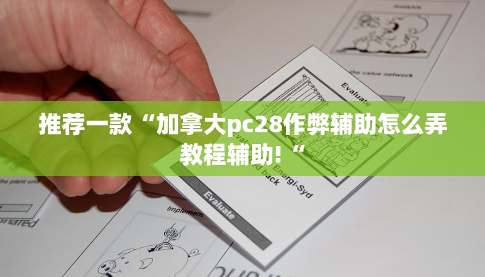 推荐一款“加拿大pc28作弊辅助怎么弄教程辅助!“
