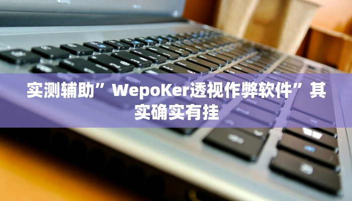 实测辅助”WepoKer透视作弊软件”其实确实有挂