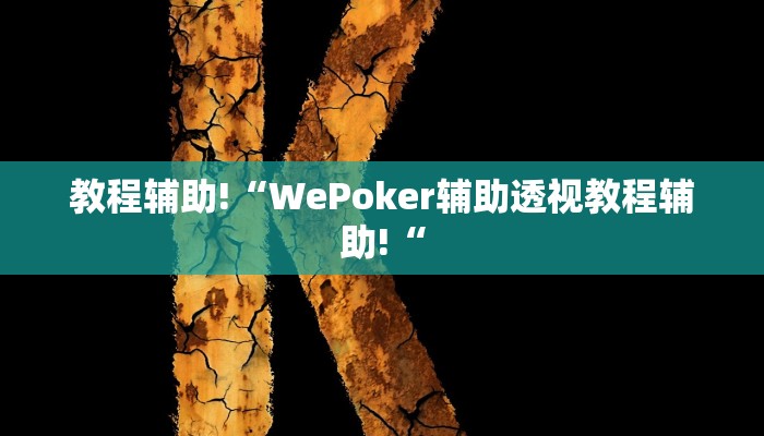 教程辅助!“WePoker辅助透视教程辅助!“