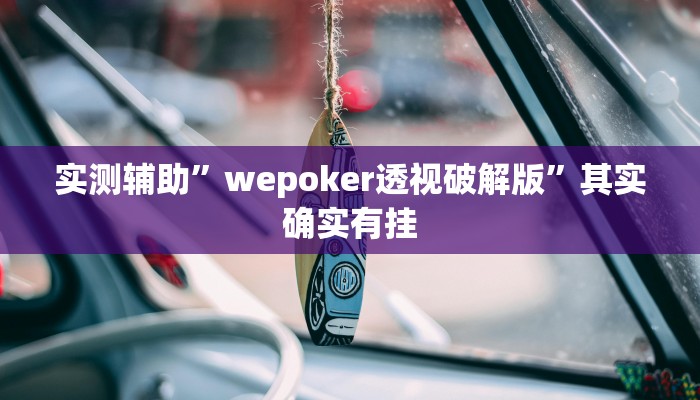 实测辅助”wepoker透视破解版”其实确实有挂