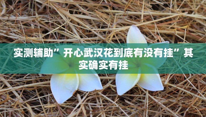 实测辅助”开心武汉花到底有没有挂”其实确实有挂