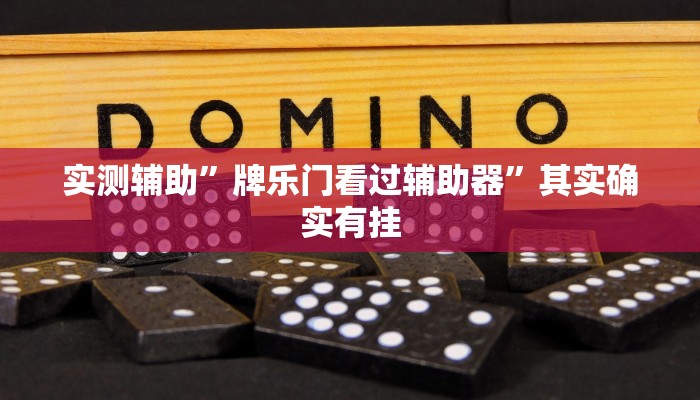 实测辅助”牌乐门看过辅助器”其实确实有挂