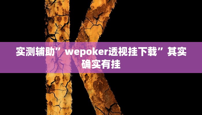 实测辅助”wepoker透视挂下载”其实确实有挂