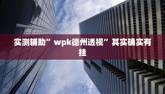 实测辅助”wpk德州透视”其实确实有挂