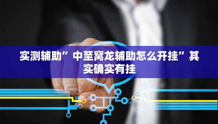 实测辅助”中至窝龙辅助怎么开挂”其实确实有挂