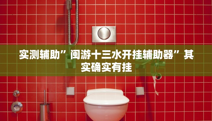 实测辅助”闽游十三水开挂辅助器”其实确实有挂